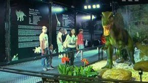 Un espectáculo con dinosaurios de tamaño real y con movimiento