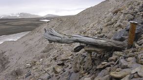 El ambiente frío conservó los delicados fragmentos de ADN&nbsp;