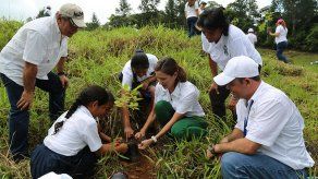 Meta del Día de la Reforestación fue superada