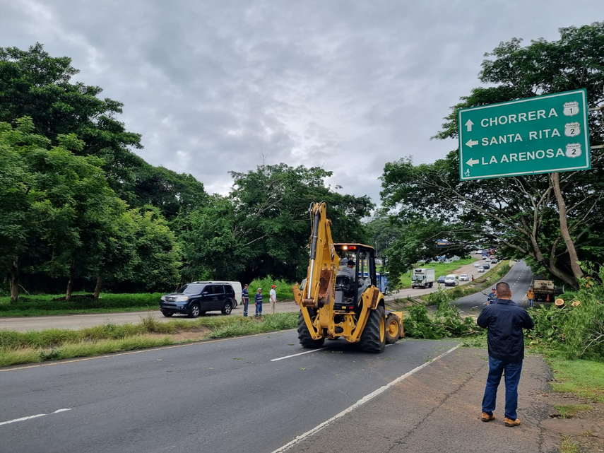 MiAmbiente MiAmbiente 