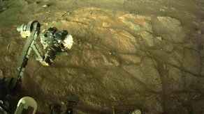 El rover Perseverance.
