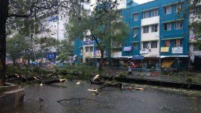 El ciclón Vardah alcanza la costa sureste de la India