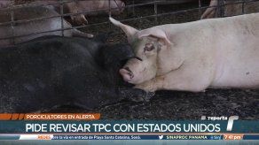 Porcicultores en alerta