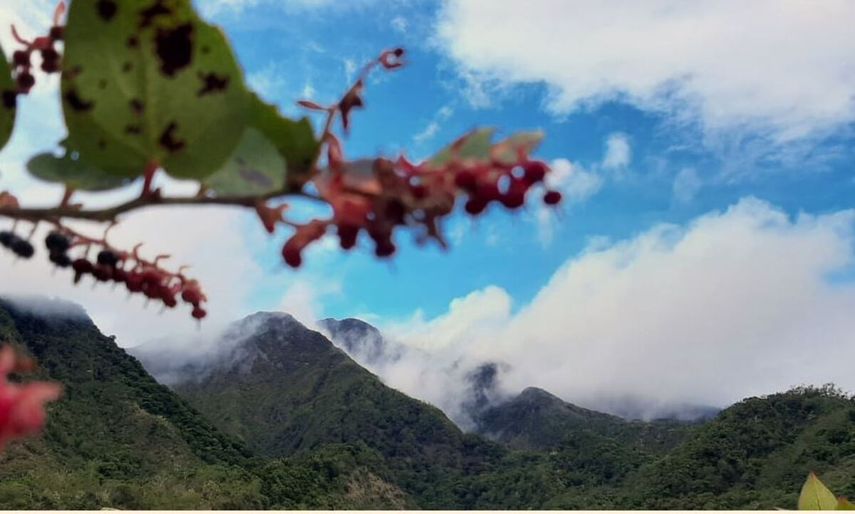 MiAmbiente permite el acceso a áreas protegidas chiricanas como  Parque Nacional Volcán Barú