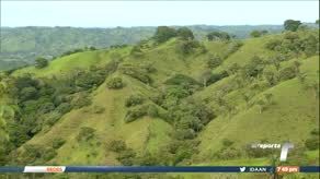 TR Verde: Cultivo de café en Los Santos