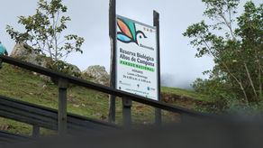 MiAmbiente rescató a un pájaro estaca&nbsp;