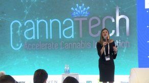 Marihuana medicinal se establecerá mundialmente y Panamá jugará un rol vital