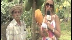 Momento de la cosecha