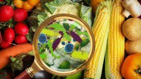 Salmonella: ¿Qué es y cómo prevenirla?