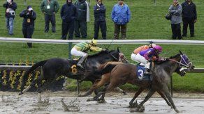 Mueren 2 caballos en carreras previas a Preakness
