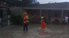 Evalúan daños en viviendas afectadas por inundaciones en Herrera y Coclé