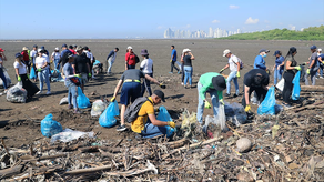 Primera jornada de limpieza de playa del año es este sábado 24 de febrero