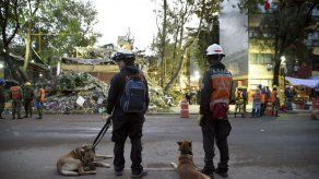 Paciencia y fe en la búsqueda de víctimas del terremoto en México