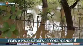 MIDA mantiene monitoreo por las pérdidas de los productores tras las lluvias MIDA mantiene monitoreo por las pérdidas de los productores tras las lluvias