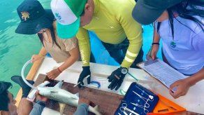@parquegalapagos