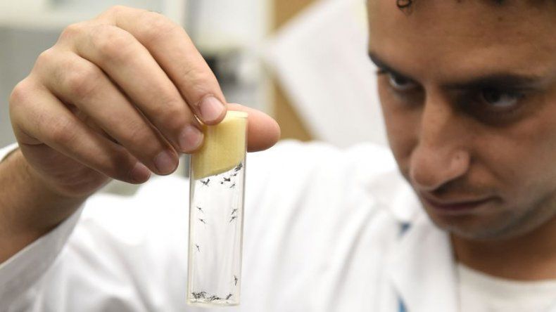 El zika puede permanecer en el semen más de lo esperado, según un estudio