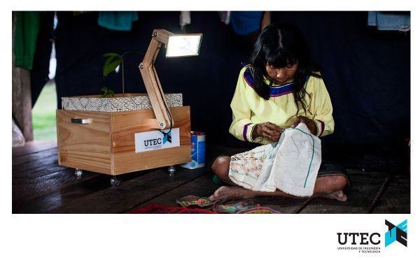 Las plantas iluminan la selva peruana