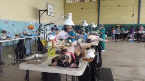 Jornada de esterilización