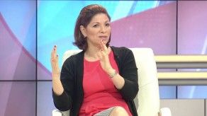 Diputada Gómez se refiere al caso sobre Grupo Empresarial Waked