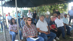 Gobierno entrega sementales de alta genética a pequeños productores Gobierno entrega sementales de alta genética a pequeños productores