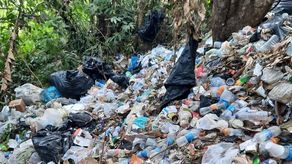 En lo que va del año, más de 200 mil migrantes irregulares han atravesado la selva del Darién.