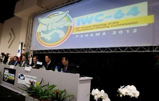 Miembro del Comité de CBI defiende caza regulada de ballenas