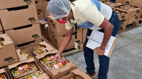 MIDA actualización MIDA actualización