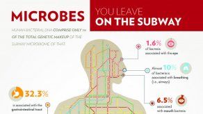 El metro de Nueva York tiene su primer mapa de ADN... y miles de microbios