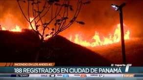 {alttext(,10 horas de labores para controlar incendio de herbazales en Los Andes #2 )}