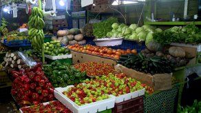 Precio de tomate registra aumento de precio en Merca Panamá
