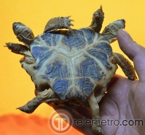 Imágenes impactantes de la semana