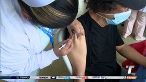 Investigan las causas de la agresividad de virus respiratorios