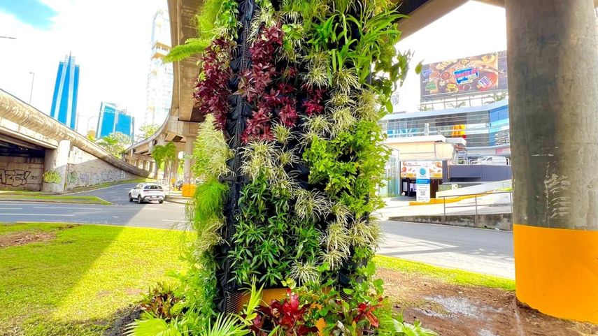 Mayer Mizrachi inicia con jardín vertical municipal