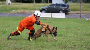 Promulgan decreto que crea la Unidad Canina de Búsqueda y Rescate Urbano y Rural