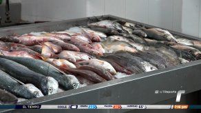 Precios de los productos del mar se mantienen accesibles