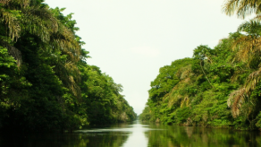 La CIJ se pronunciará sobre la indemnización de Nicaragua a Costa Rica el 2 de febrero