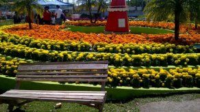 Inicia el nuevo año y con él las ferias nacionales en Panamá