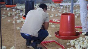 Piden apoyo de las familias para resocialización de jóvenes en las cárceles