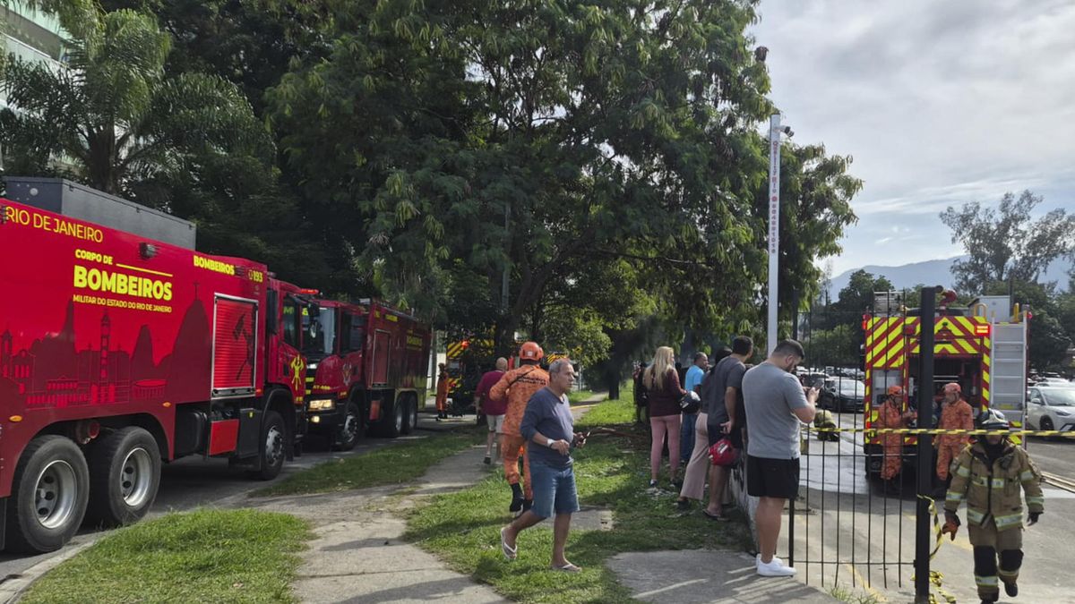 Investigan si el cantante estadounidense Oliver Tree murió en una trágica colisión aérea en Brasil. Investigan si el cantante estadounidense Oliver Tree murió en una trágica colisión aérea en Brasil.