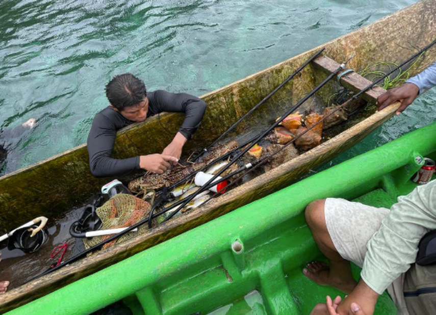 MiAmbiente cierra temporalmente Isla Escudo de Veraguas