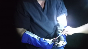 MIDA. Rabia silvestre