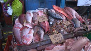 Consumidores abarrotan el Mercado de Marisco