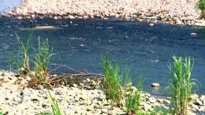 Embates del cambio climático