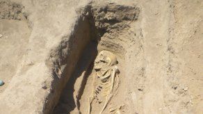 Encuentran huevo de parásito de hace 6.200 años