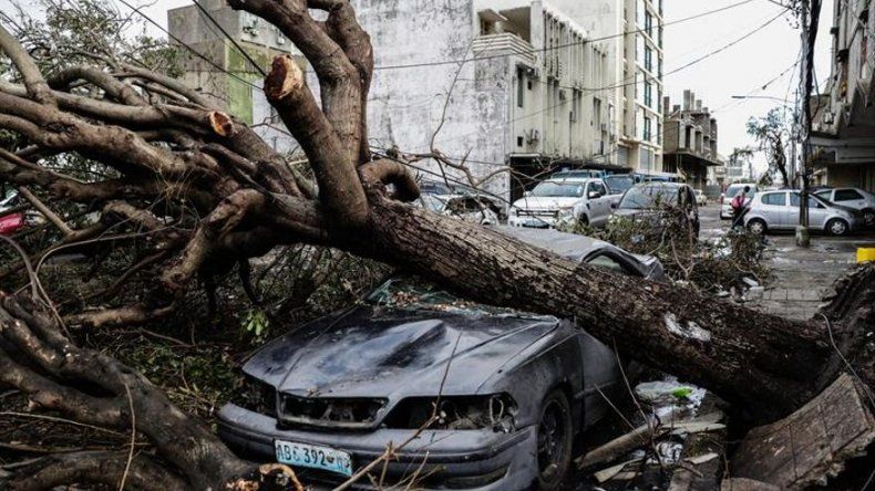 Suben a 294 los muertos por el ciclón Idai en Mozambique