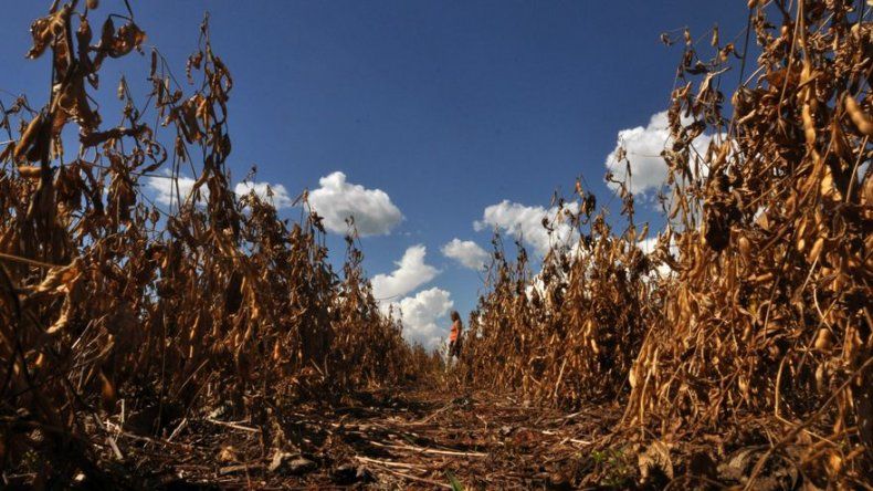 Paraguay vive una ola de calor que va camino de superar su récord histórico