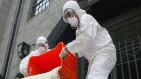 China investiga uso de niños como cobayas con arroz transgénico