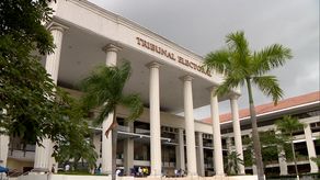 Tribunal Electoral (TE).