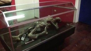 Exhiben misterioso cuerpo momificado hallado en el monte más alto de México