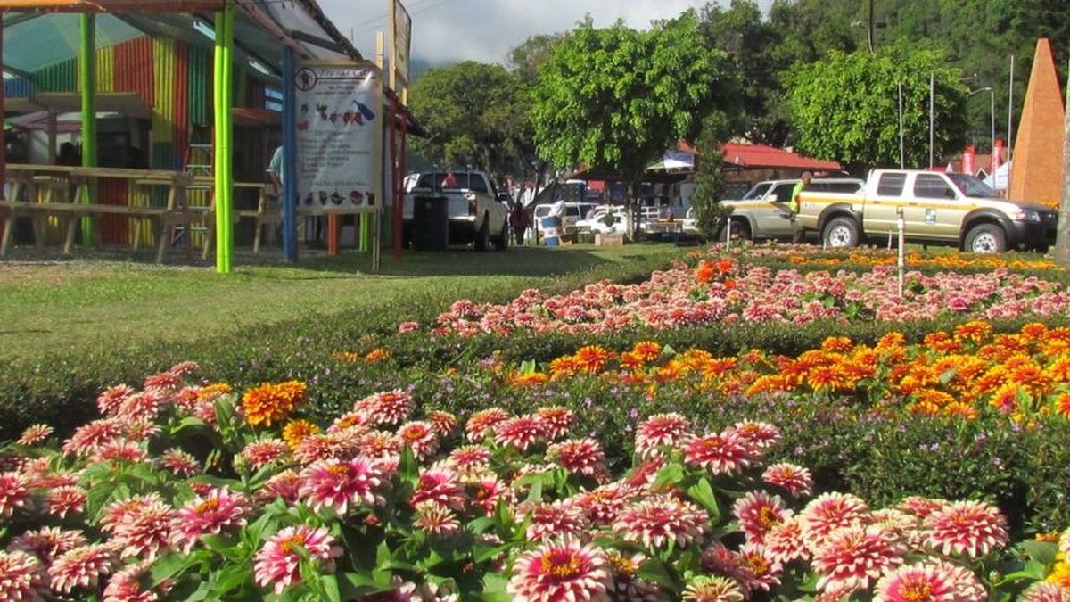 Feria de las Flores y el Café, una opción para turismo interno